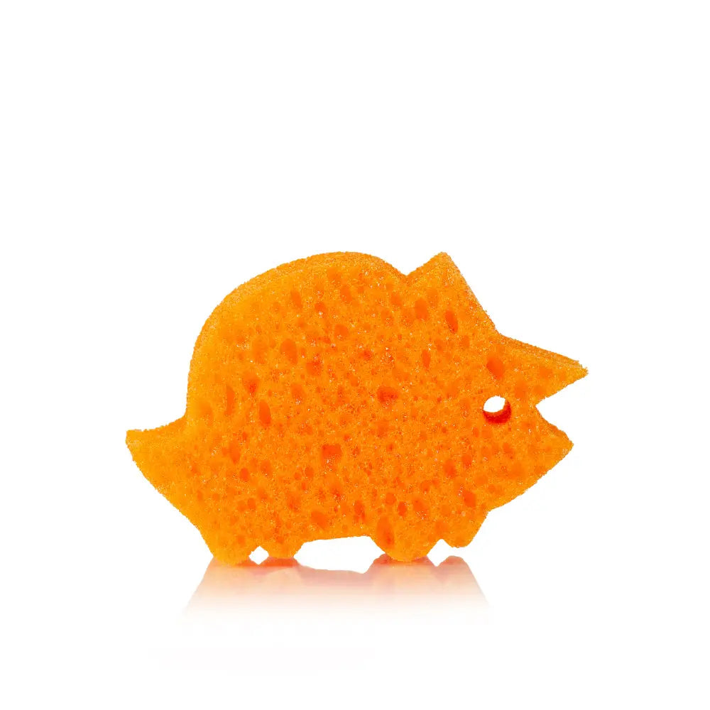 Spongify for Kids | Triceratops