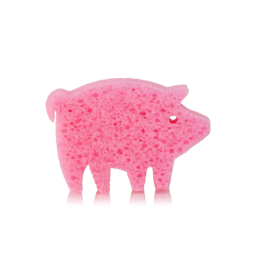 Spongify for Kids | Pig