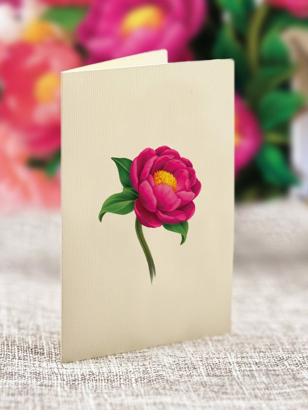 Mini Pop-Up Greeting Cards | Peony Paradise