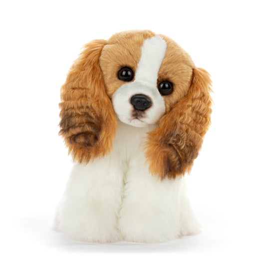 Beanbag | Cavalier King Charles