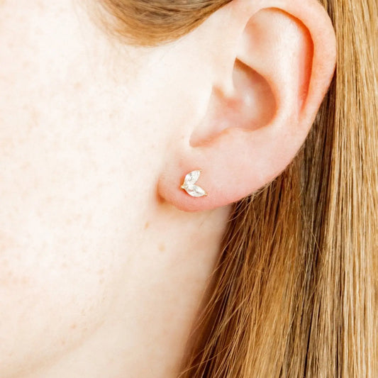 Screwback Stud Earrings | Nova Gold