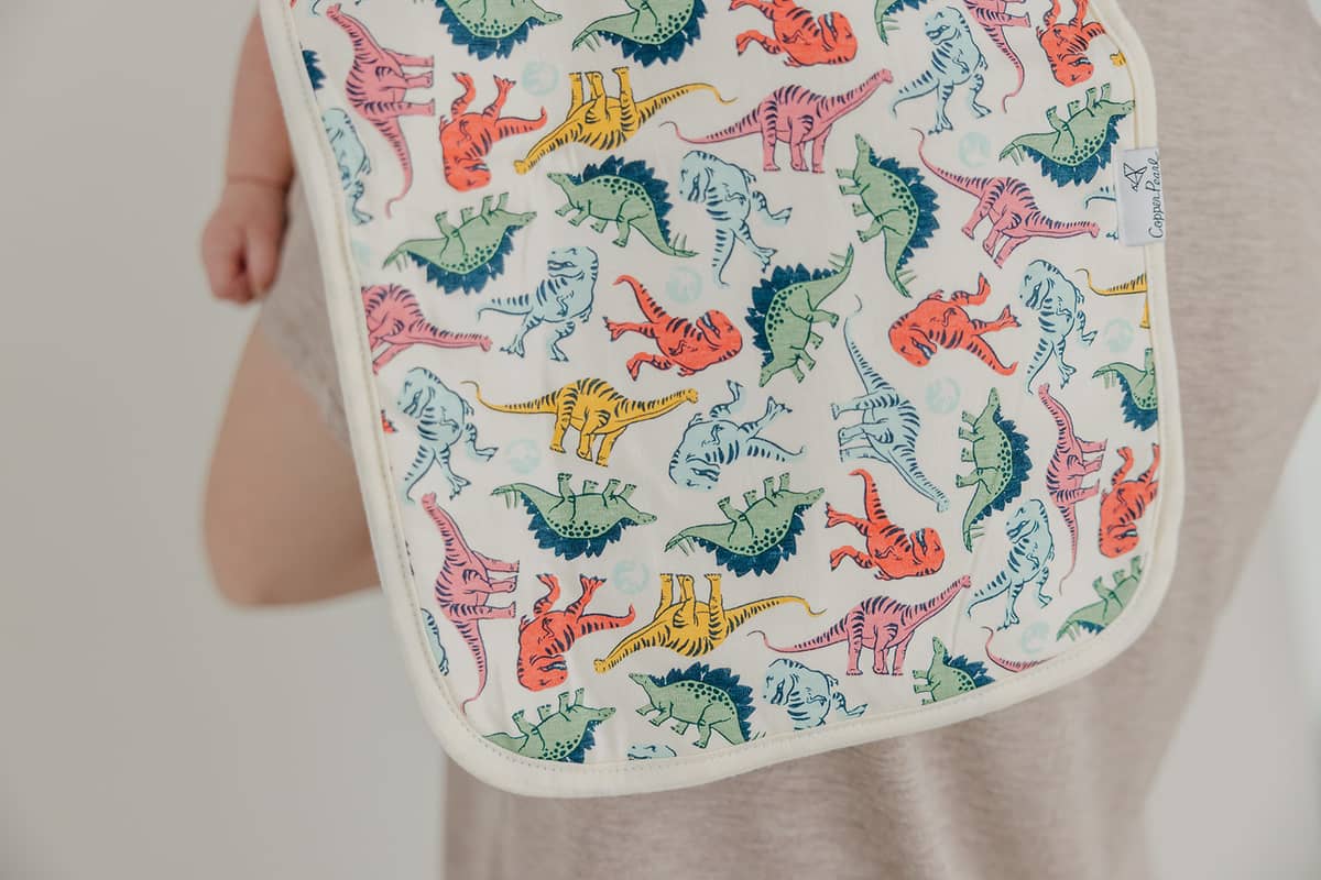 Burp Cloth Set | Jurassic Park