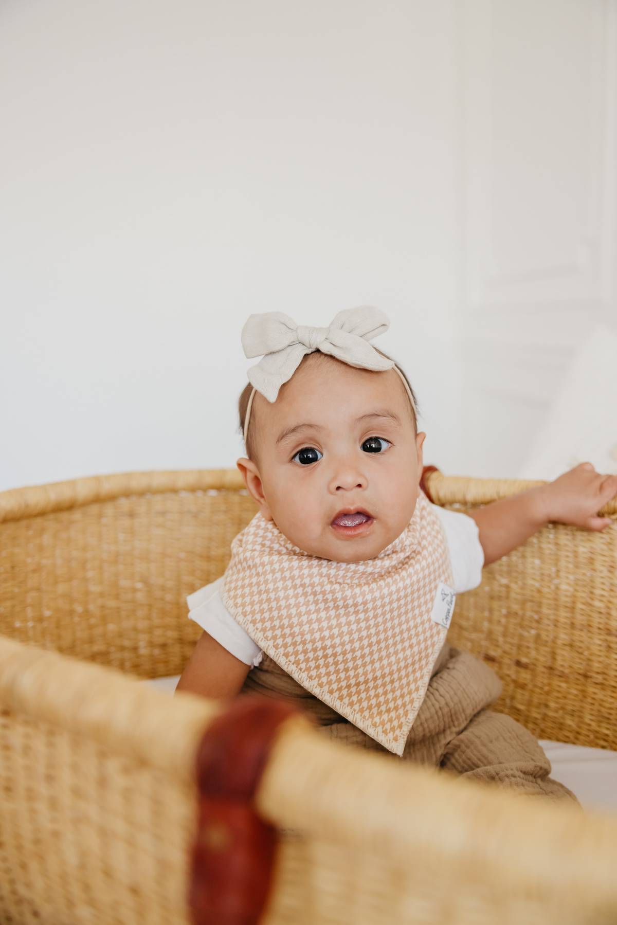 Baby Bandana Bib Set | Eden