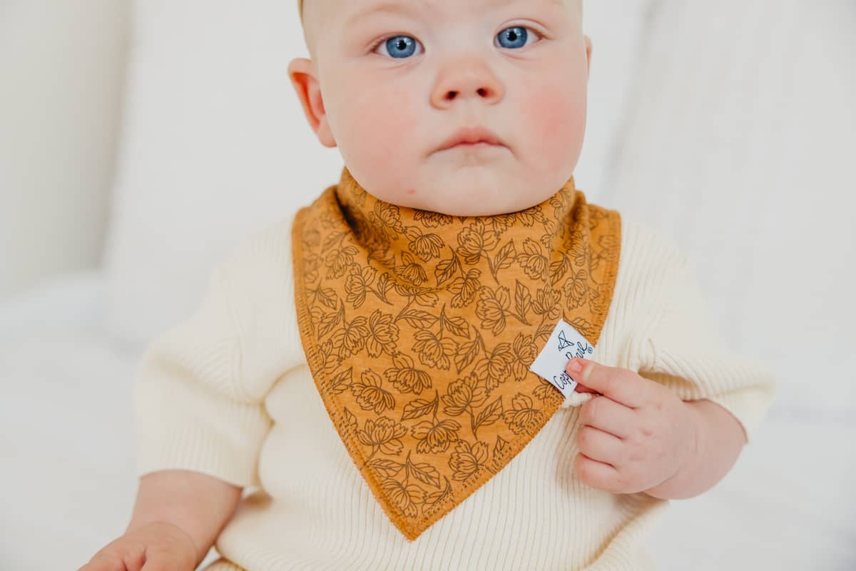 Baby Bandana Bib Set | Eden