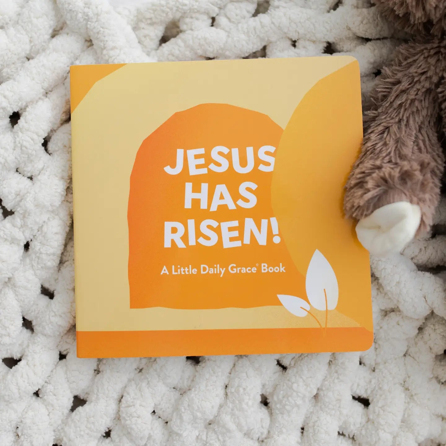 Jesus Has Risen | Board Book