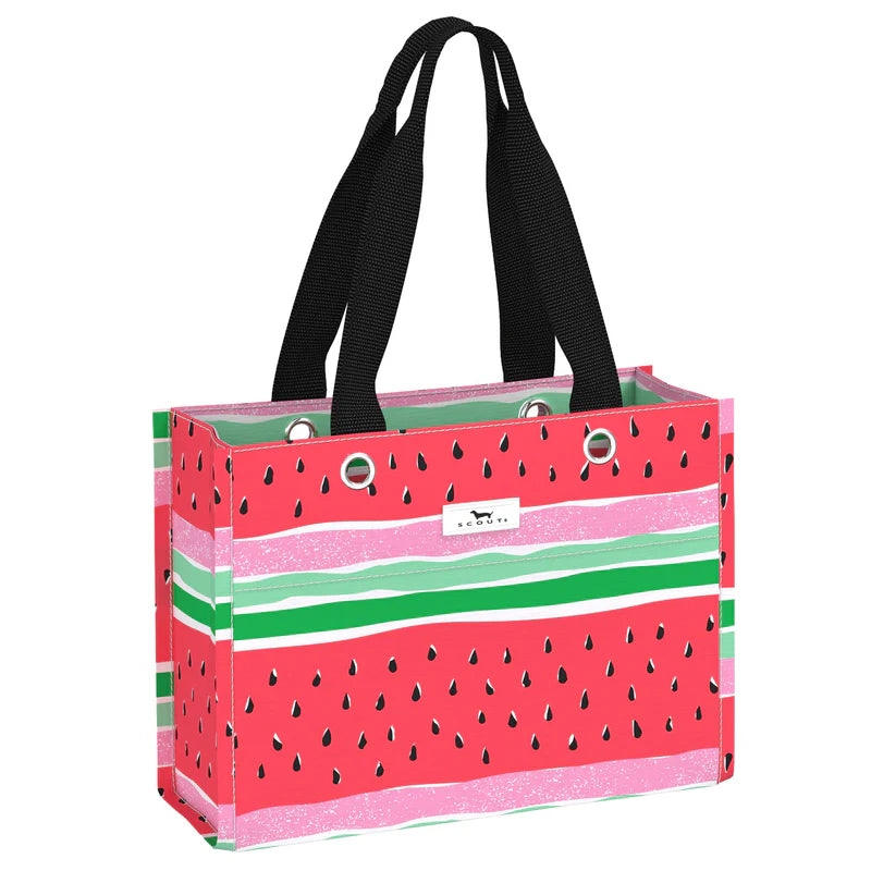 Tiny Package | Melondramatic