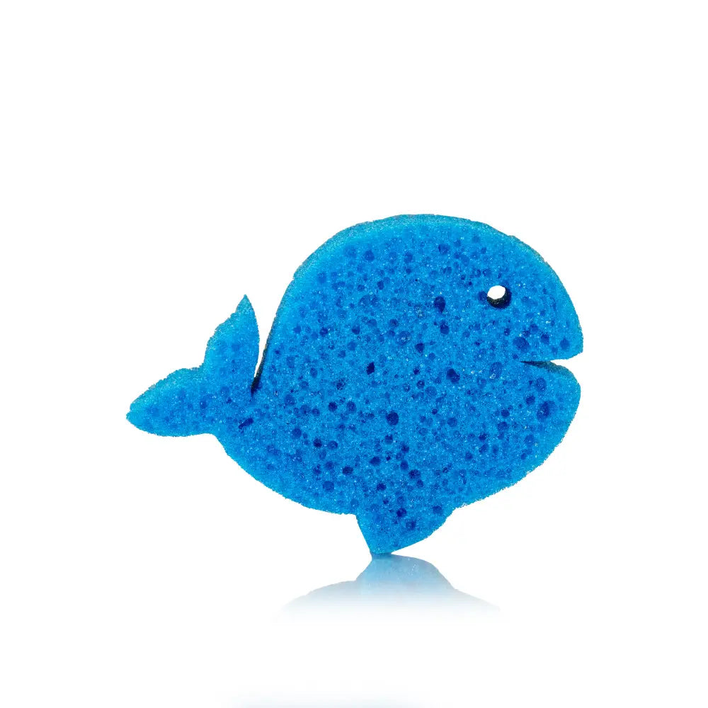 Spongify for Kids | Whale