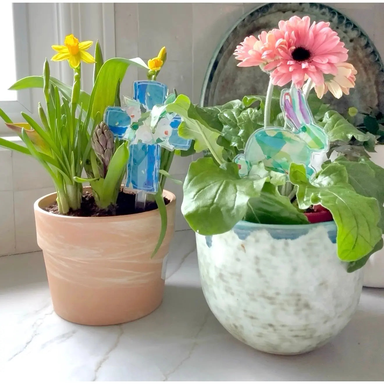 Acrylic Plant Stick | Blue Cross