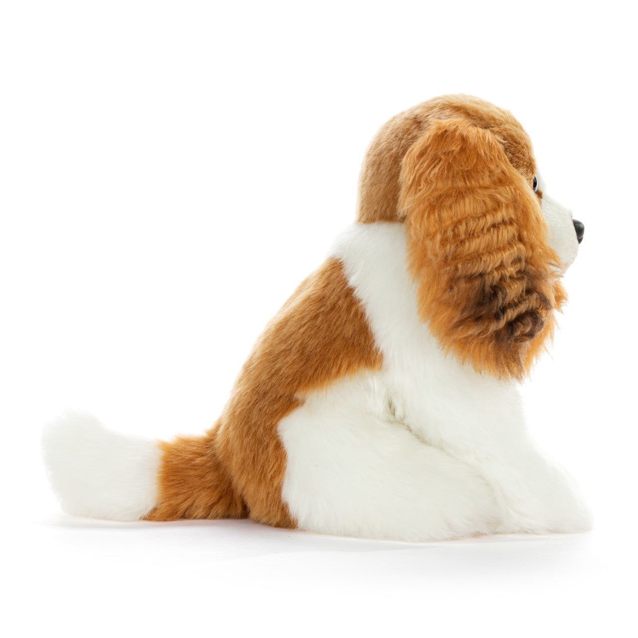 Beanbag | Cavalier King Charles