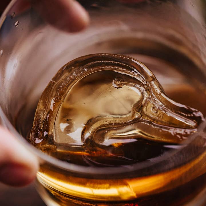 Ducks Unlimited Ice Mold