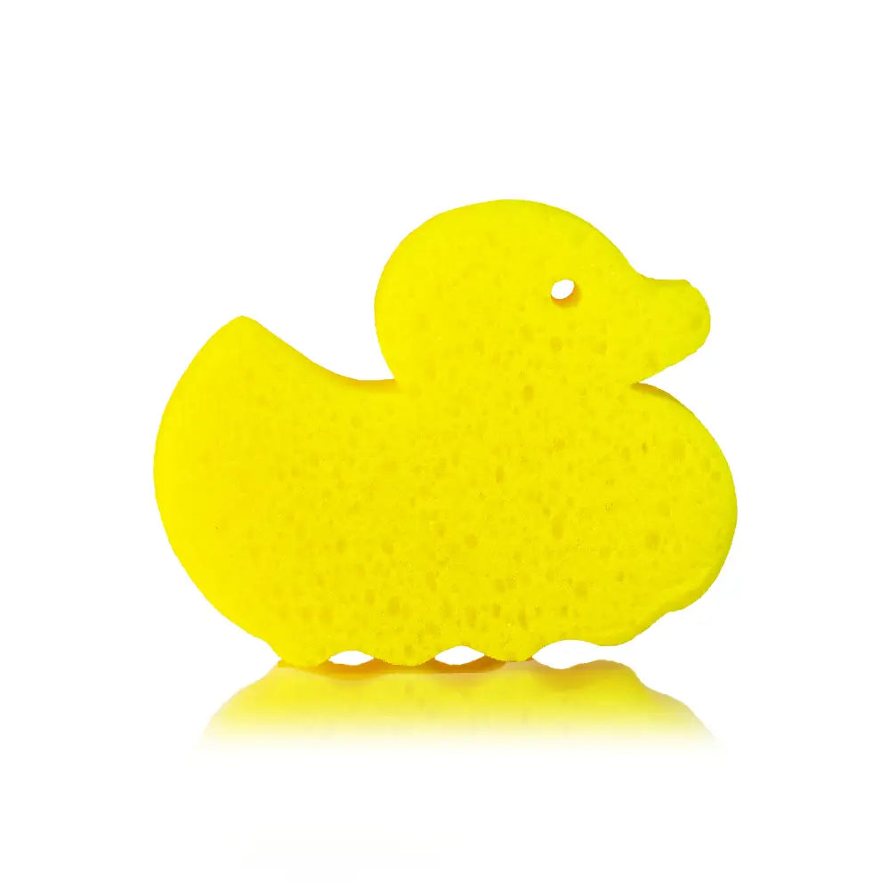 Spongify for Kids | Duck