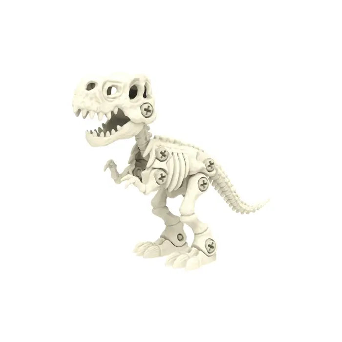 BYO Dinosaur Skeleton | Assorted Styles