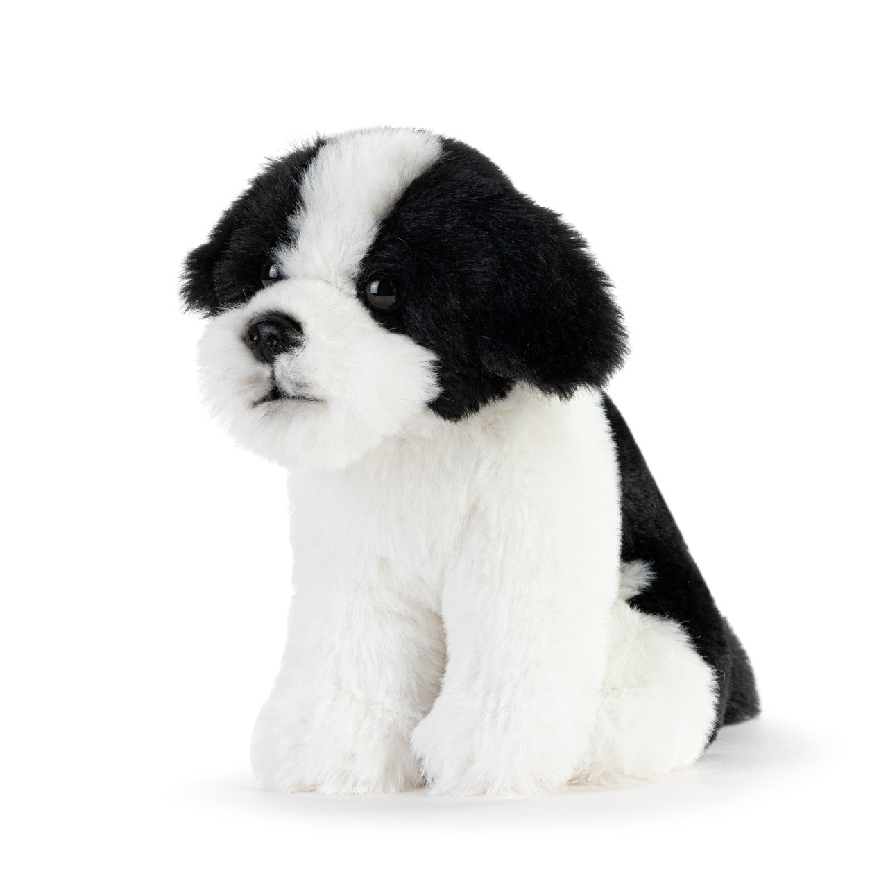 Beanbag | Havanese