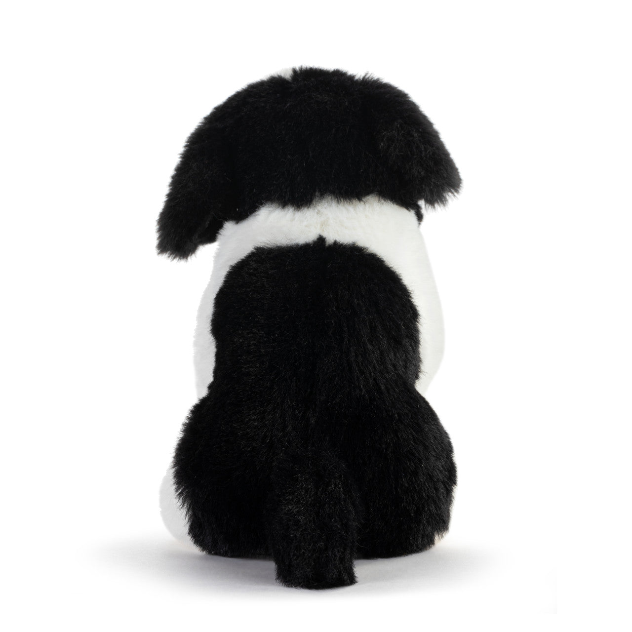 Beanbag | Havanese