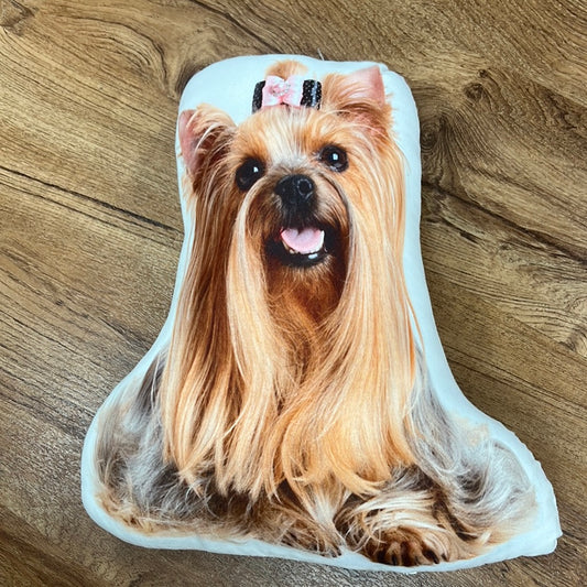 Big Dog Pillows (assorted)