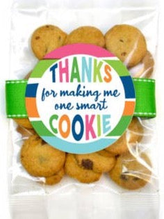 Mini Bag | Choc Chip | Teacher