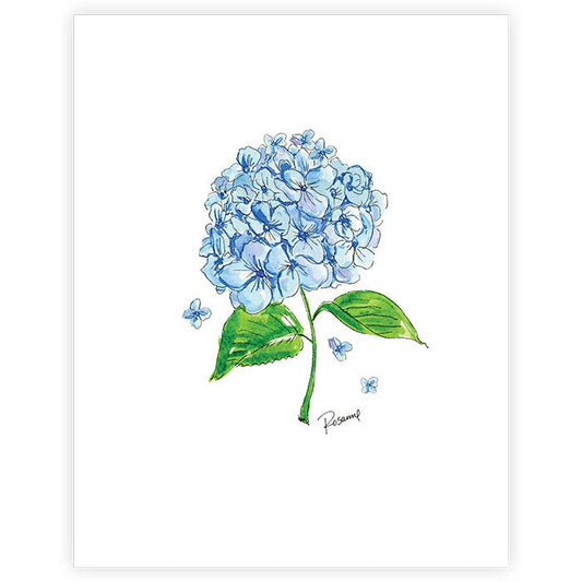 Single Bloom Blue Hydrangea Art Print