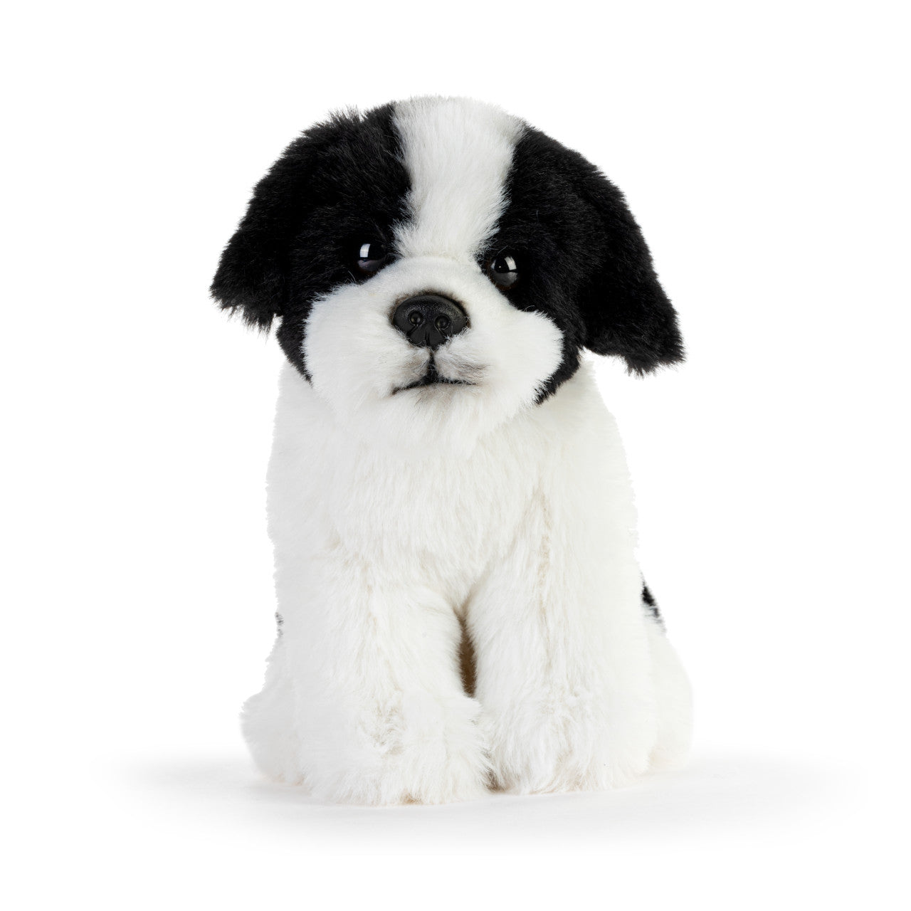 Beanbag | Havanese