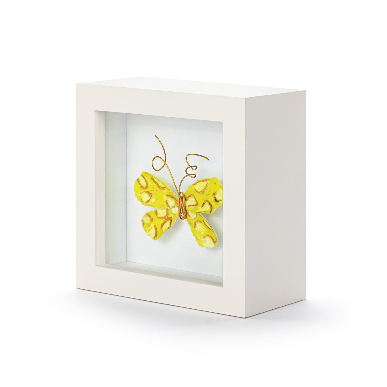Butterfly Shadow Box | Always My Sunshine
