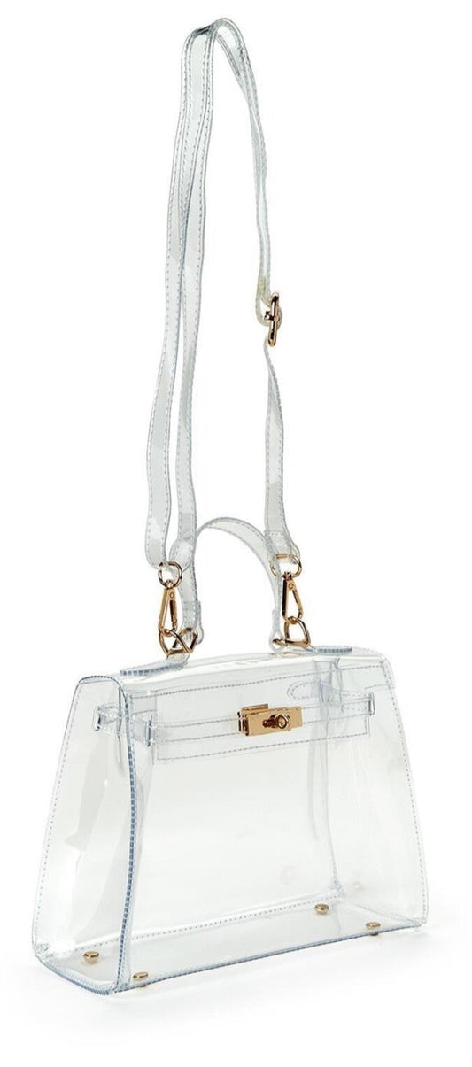 See Through Bag with Gold Hardware