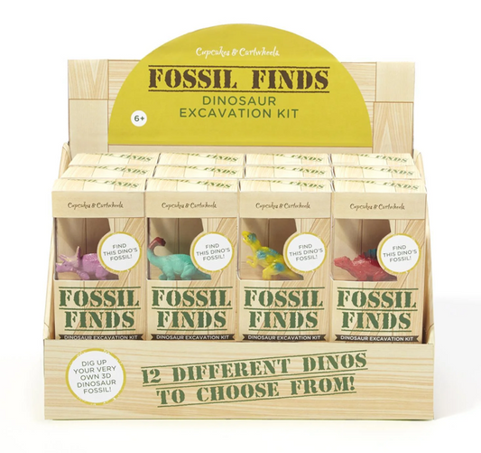 Dino Excavation Kit